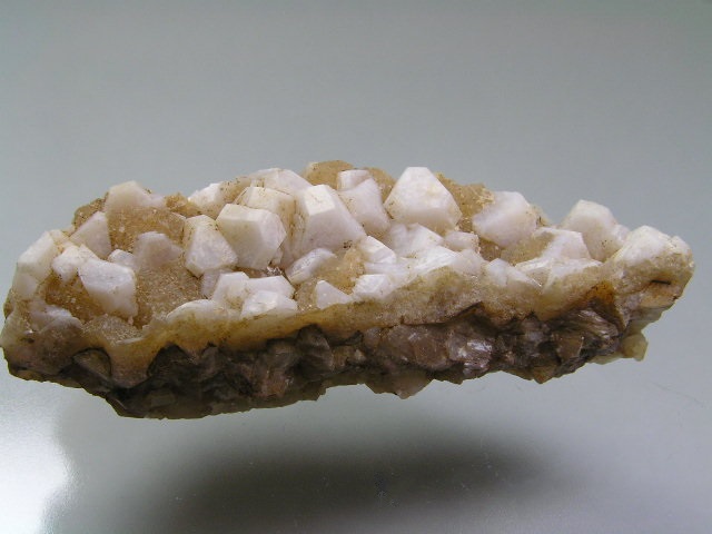 ox 583.JPG